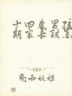 十四岁男孩叛逆期家长该怎么办