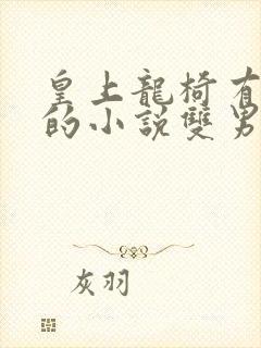 皇上龙椅有木棒的小说双男主小说