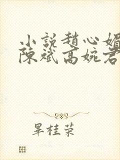 小说赵心媚主角陈斌高婉君