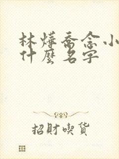 林烨乔念小说叫什么名字