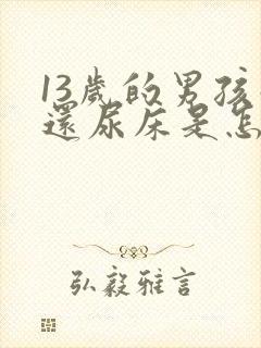 13岁的男孩子还尿床是怎么回事