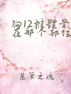 胸12椎体骨折在哪个部位