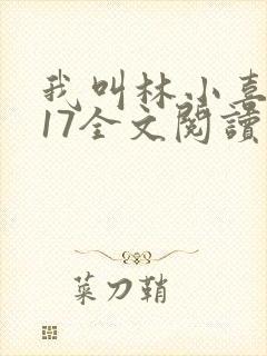 我叫林小喜今年17全文阅读