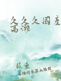 久久久国产精品高潮