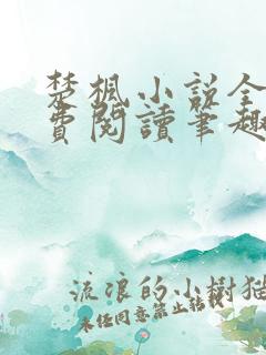 楚枫小说全文免费阅读笔趣阁