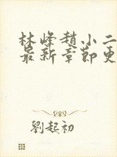 林峰赵小二小说最新章节更新内容分