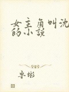 女主角叫沈卿晚的小说