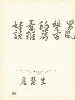 好看的双男主小说推荐古风