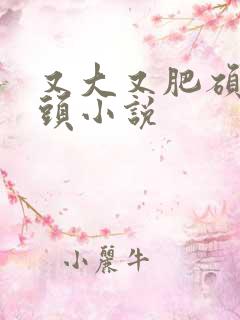 又大又肥硕的奶头小说