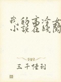 我的高冷女总裁小说在线阅读