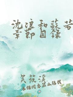 沈浪和苏若雪全章节目录