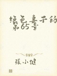 绝色妻子的欲望 第65章