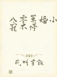 八零军婚小甜妻宠不停