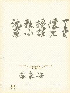 沈教授怀了我的崽小说免费阅读