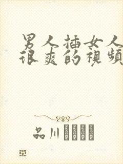 男人插女人下面很爽的视频