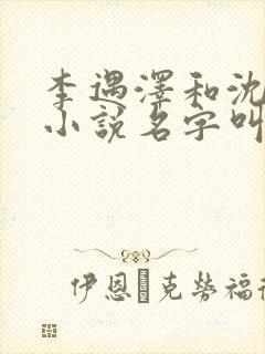 李遇泽和沈见青小说名字叫什么