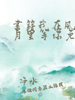 书籍我在风花雪月里等你免费阅读