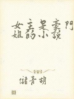 女主是豪门大小姐的小说