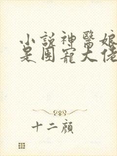 小说神医娘亲她是团宠大佬最新章节