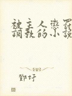 被主人惩罚玩弄调教的小说