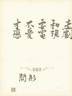 才不要和老板谈恋爱电视剧免费