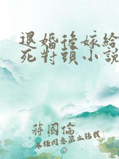 退婚后嫁给渣男死对头小说网