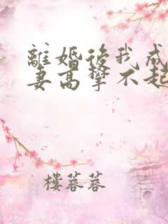 离婚后我成了前妻高攀不起的小说