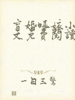 盲婚哑嫁小说全文免费阅读