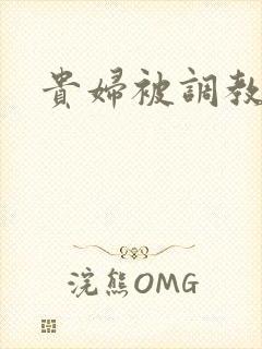 贵妇被调教小说