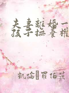 夫妻离婚一个男孩子抚养权怎么判定