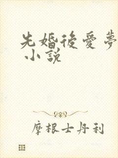 先婚后爱梦筱二 小说