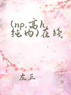 (np,高h,纯肉)在线