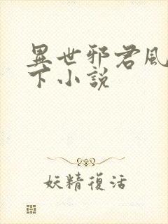 异世邪君风凌天下小说