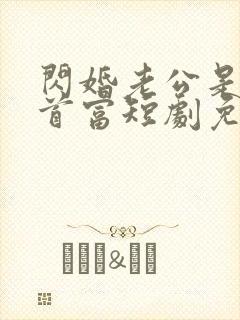 闪婚老公是千亿首富短剧免费下载