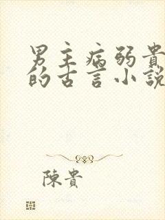 男主病弱贵公子的古言小说