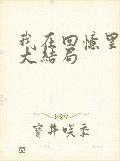 我在回忆里等你大结局