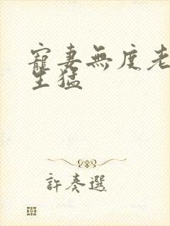 宠妻无度老公太生猛