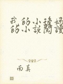 我的小后妈免费的小说阅读