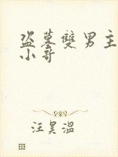 盗墓双男主cp小哥