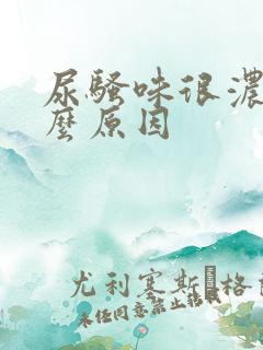 尿骚味很浓是什么原因