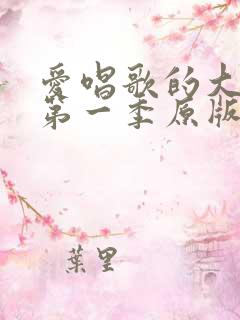爱唱歌的大姐姐第一季原版