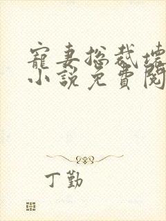 宠妻总裁坏透了小说免费阅读