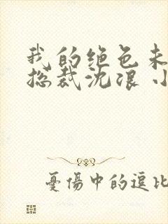 我的绝色未婚妻总裁沈浪 小说