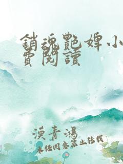 销魂艳婢小说免费阅读