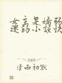 女主是娇弱万人迷的小说快穿