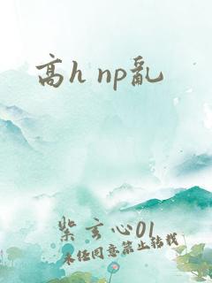高h np乱