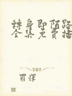 转身即陌路短剧全集免费播放下载