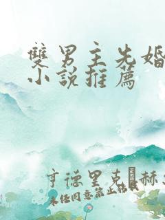 双男主先婚后爱小说推荐