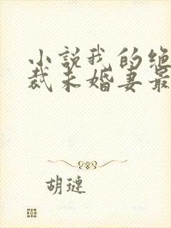 小说我的绝色总裁未婚妻最新章节