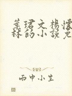 叶珺文杨怀洲阮林的小说免费阅读